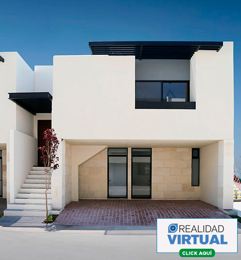 mudi_01